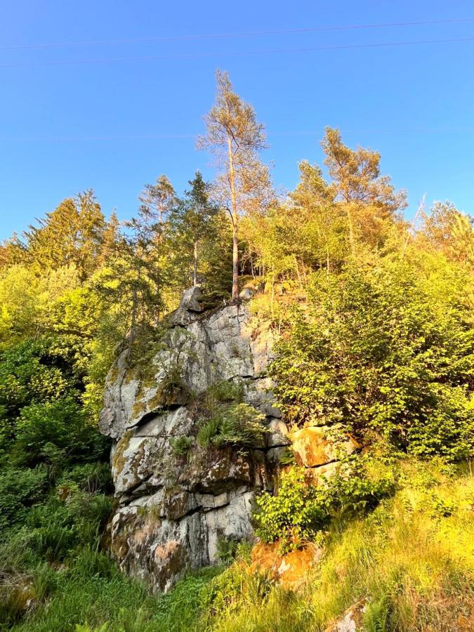 Romantischer Pod - Gegen Aufpreis Mit Hot Tub - Whirlpool & Sauna Hohenberg an der Eger المظهر الخارجي الصورة